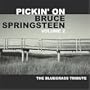 Vol. 2-Pickin' on Springsteen