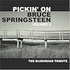 Vol. 2-Pickin' on Springsteen