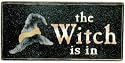The Witch is In (Large)