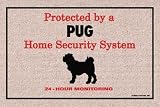 Protected by Pug Doormat