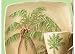 Clay Art Palm Island Coconut Palm Dinner Plate