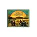 Catan: Cities & Knights Game Expansion