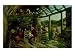The Nativity Giclee Poster Print