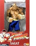 Street Fighter Series 1 > Sagat (12 inch Roto) Large Doll