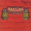 Bacilos