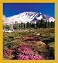 Mount Shasta Bookmark