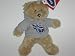 TENNESSEE TITANS 8 Plush TEDDY BEAR with Team Logo Embroidered Grey Hoodie