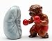 Fine Porcelain Salt and Pepper Shaker Set Figurine Collectible - Boxing Dog S/P