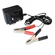6 volt motorcycle battery