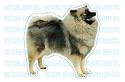 KEESHOND - Dog Decal - sticker dogs car got window