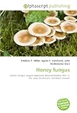 Honey Fungus-