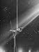 Circus Aerialist Bella Attardi, Hanging on Rope Practicing Aerial Ballet For Ringling Bros. Circus Photographic Poster Print by Nina Leen, 12x16