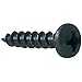 Parts Express #6 x 3/4" Deep Thread Pan Head Screws Black 100 Pcs. (1)