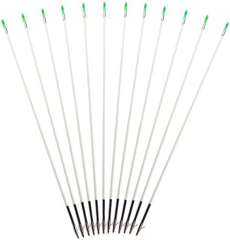 White Archery Bow Fishing Hunting Arrows W/ Broadheads and Safety Slides (12pcs)