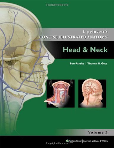 Lippincott Concise Illustrated Anatomy: Head & Neck (Lippincott's Concise Illustrated Anatomy) 3 Pap/Psc Edition by Pansky PhD MD, Ben, Gest PhD, Thomas R. (2013) Paperback