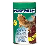 BEARDED DRAGON ADULT DIET