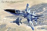 Top Gun School 1000 pcs