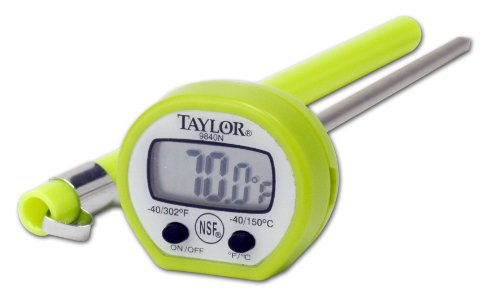 Best Cheap Taylor 9840G Digital Thermometer, Green