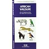 African Wildlife: An Introduction to Familiar Species (International Nature Guides)