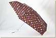 Totes - Adult Sketchy Circles Auto Open/Close Compact Umbrella