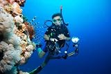 Diver with Camera - Peel and Stick Wall Decal by Wallmonkeys