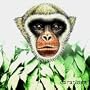 Caratinga - Soundscapes from Brazil's Atlantic Rainforest
