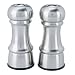 Kitchen & Housewares : Trudeau Satin Stainless Steel Salt and Pepper Shakers - 4.5