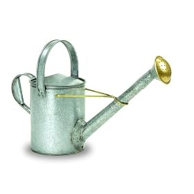 Buy Achla Garden Patio Silver Steel, Copper & Brass Galvanized Metal Long Necked... by Feng Shui now!