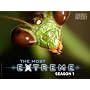 The Most Extreme Season 1