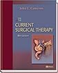 Current Surgical Therapy