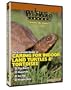 PVL LAND TURTLE & TORTOISE DVD