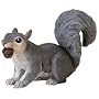 Safari: Grey Squirrel with Acorn