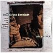 The Bluegrass Sessions: Tales from the Acoustic Planet, Volume 2
