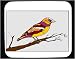 Mouse Pad with finch, nutcracker, orange, branch, bird