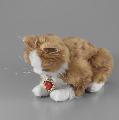 Cover image : 首輪でおしゃべり 夢ねこハート
