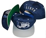 Detroit Lions Two Tone Snapback Adjustable Plastic Snap Back Hat / Cap