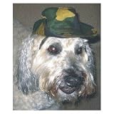 Camouflage Dog Safari Hat