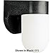Small Outdoor Incandescent Outdoor Wall Lantern Finish: Black