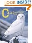 C++ Programming Today (2nd Edition)