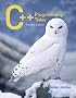 C++ Programming Today (2nd Edition)