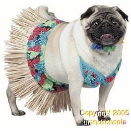 Pet Hawaiian Girl Dog Costume For X-small Dogs