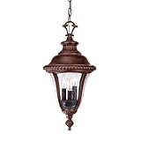 Acclaim Lighting 7266BC Windsor 3 Light Outdoor Hanging Lantern by Commercial Lighting [並行輸入品]