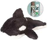 Wild Clingers: Orca