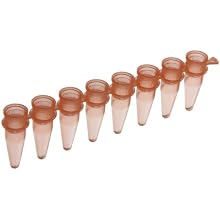 BrandTech 781321 Plastic 0.2mL PCR 8-Tube Strip, Rose (Pack of 125)