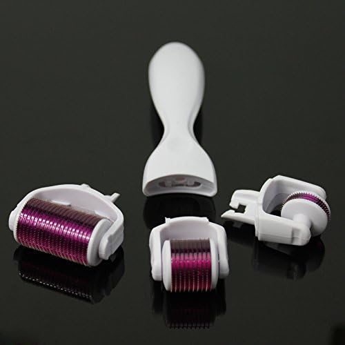 Beauty Union 3-in-1 Facial Skin Care Needle Needle Length-Best Micro Acne Scars Derma Skin Roller Stertch Mark with 3 Separated Rollers/Heads, Different Needle Apply for Body, Face, Eye(1.0mm, Purple Head White Handle)