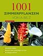 billige zimmerpflanzen