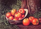 12X16 inch Prentice Levi Still life/Apples in New York Giants Cap