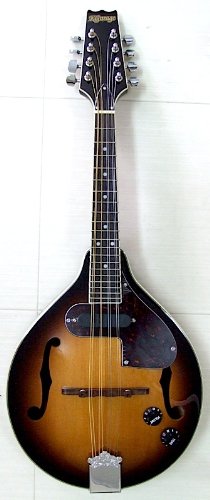 Kgarage エレクトリックフラットマンドリン VM-6E