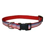 Medium American Flag Dog Collar: 3/4 wide, Adjusts 13-20.