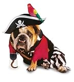 Toys : Costumes For All Occasions PM858003 Zelda Pirate Pet sm